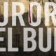 Intervista a Barbara Baraldi – Aurora nel buio