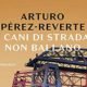 Arturo Pérez-Reverte – I cani di strada non ballano