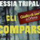 Gli scomparsi – Alessia Tripaldi
