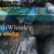 La muta – Aliya Whiteley