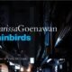 Rainbirds – Clarissa Goenawan